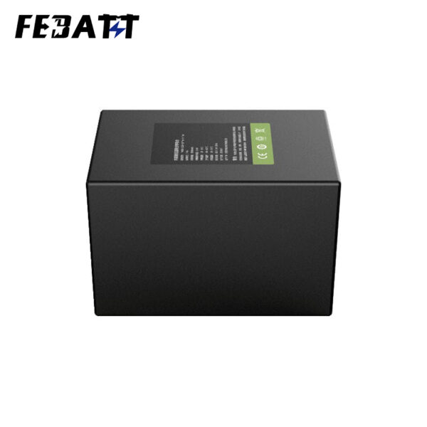 3000mAh 7.4 V LiPo Battery