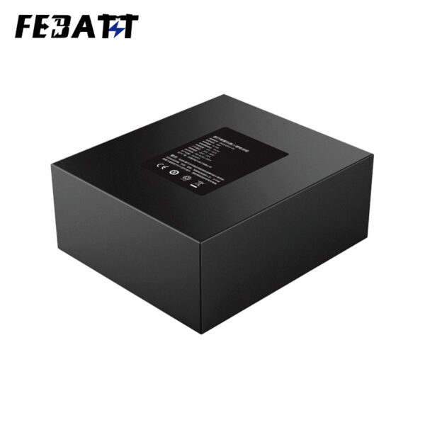 18650 48V 6.7Ah Li-ion Battery