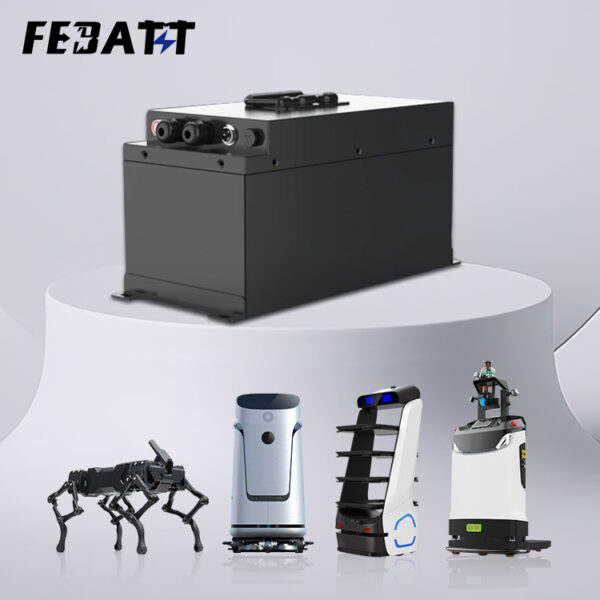 24V 60Ah Service Robot Battery