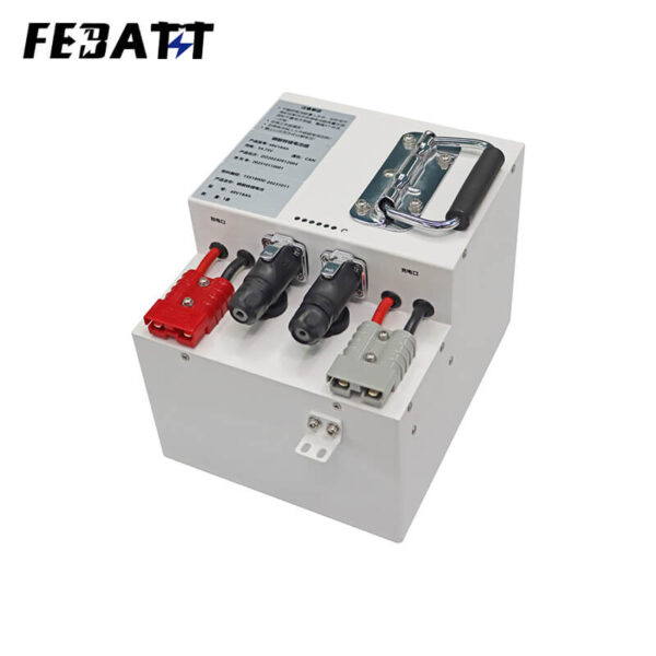 48V 18Ah LiFePO4 Battery