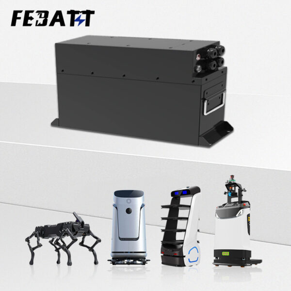 48V 20Ah Service Robot Battery