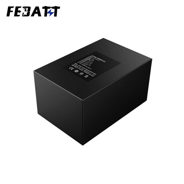 OEM 48V 28.6Ah Lithium Battery