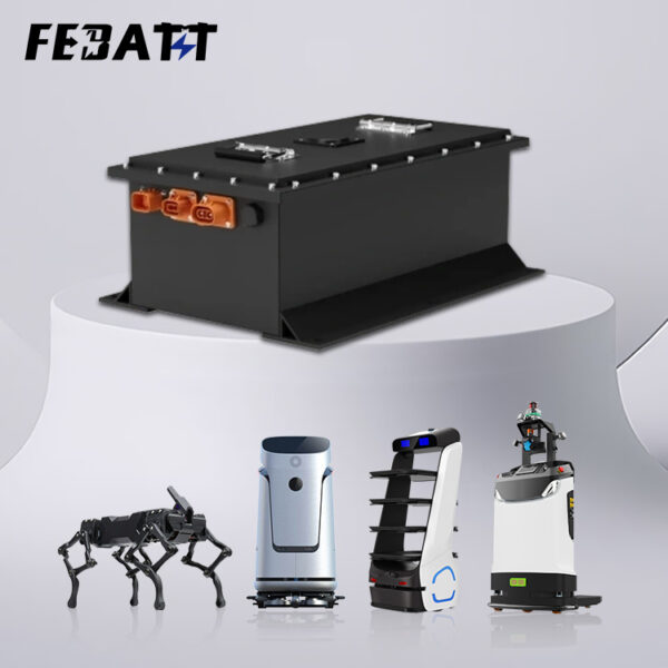 51.2V 52Ah Battery with RS485 CAN for Robots AGV AMR RGV