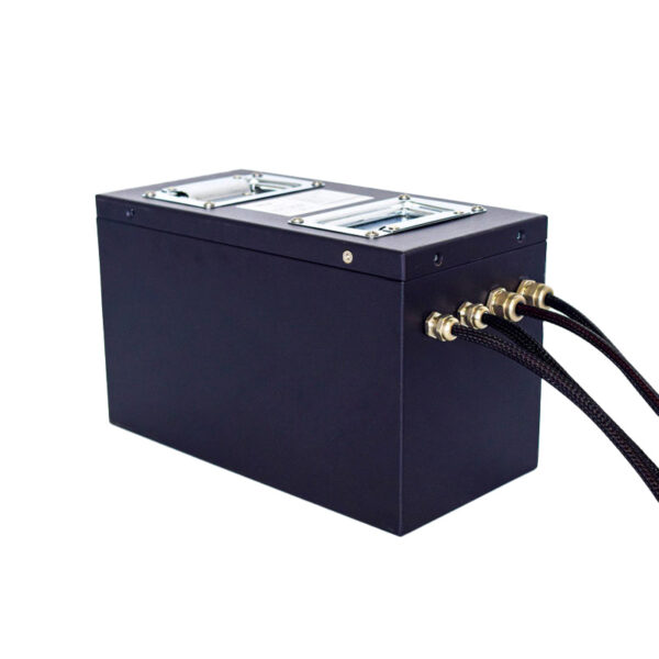 Custom 48V 60Ah NMC Battery for Handcart with RS485 CAN