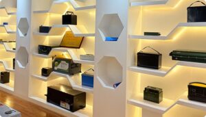 Customized Special Battery Pack