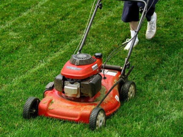 mower batteries