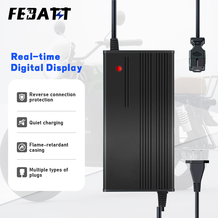 Fast Charging Battery Charger