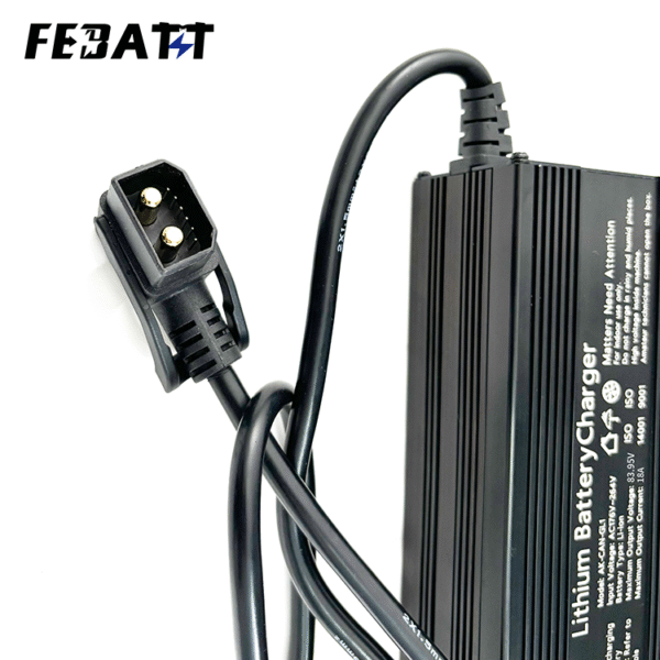 Portable Lithium Battery Charger
