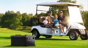 48V Lithium Battery