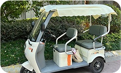 Electric Three-Wheeler