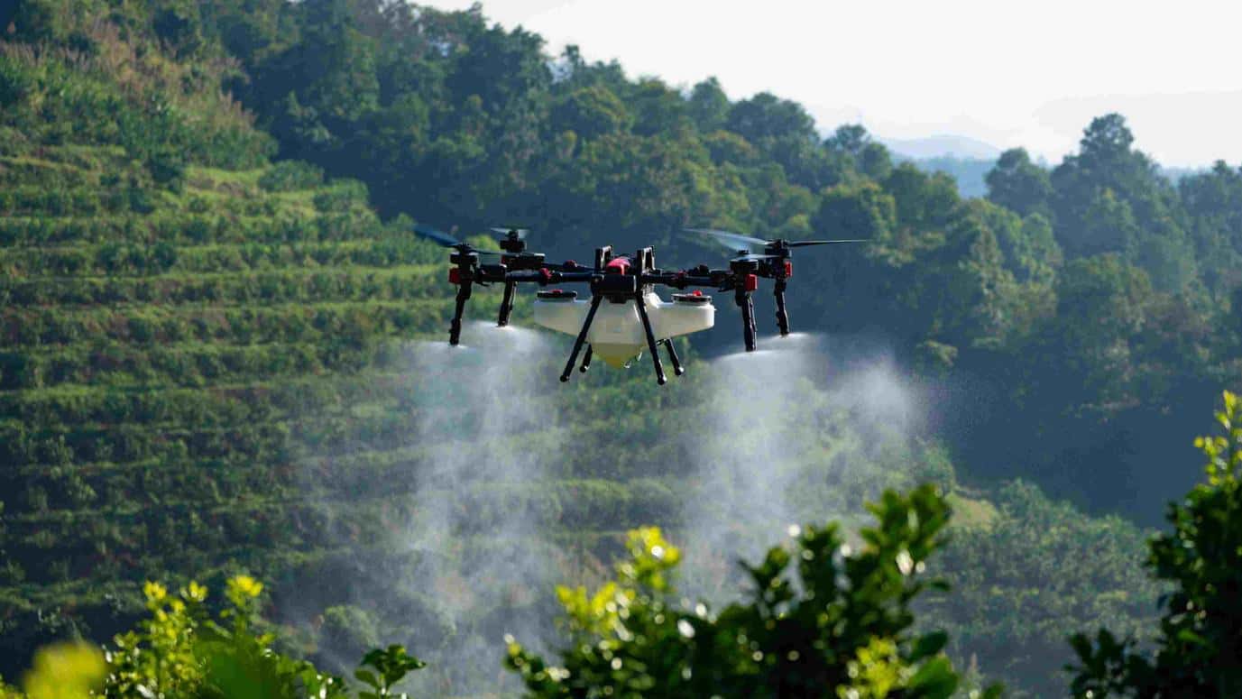 Three Key Factors for Selection Ensuring 2000-Cycle Life of Rechargeable Lithium-Ion Batteries