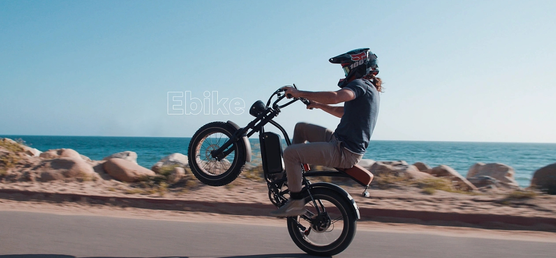 e bike battery supplier