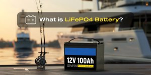 lifepo4 batteries supplier