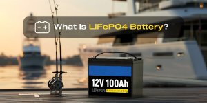 lifepo4 batteries supplier