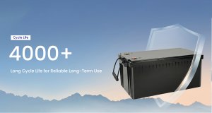 truck battery factory