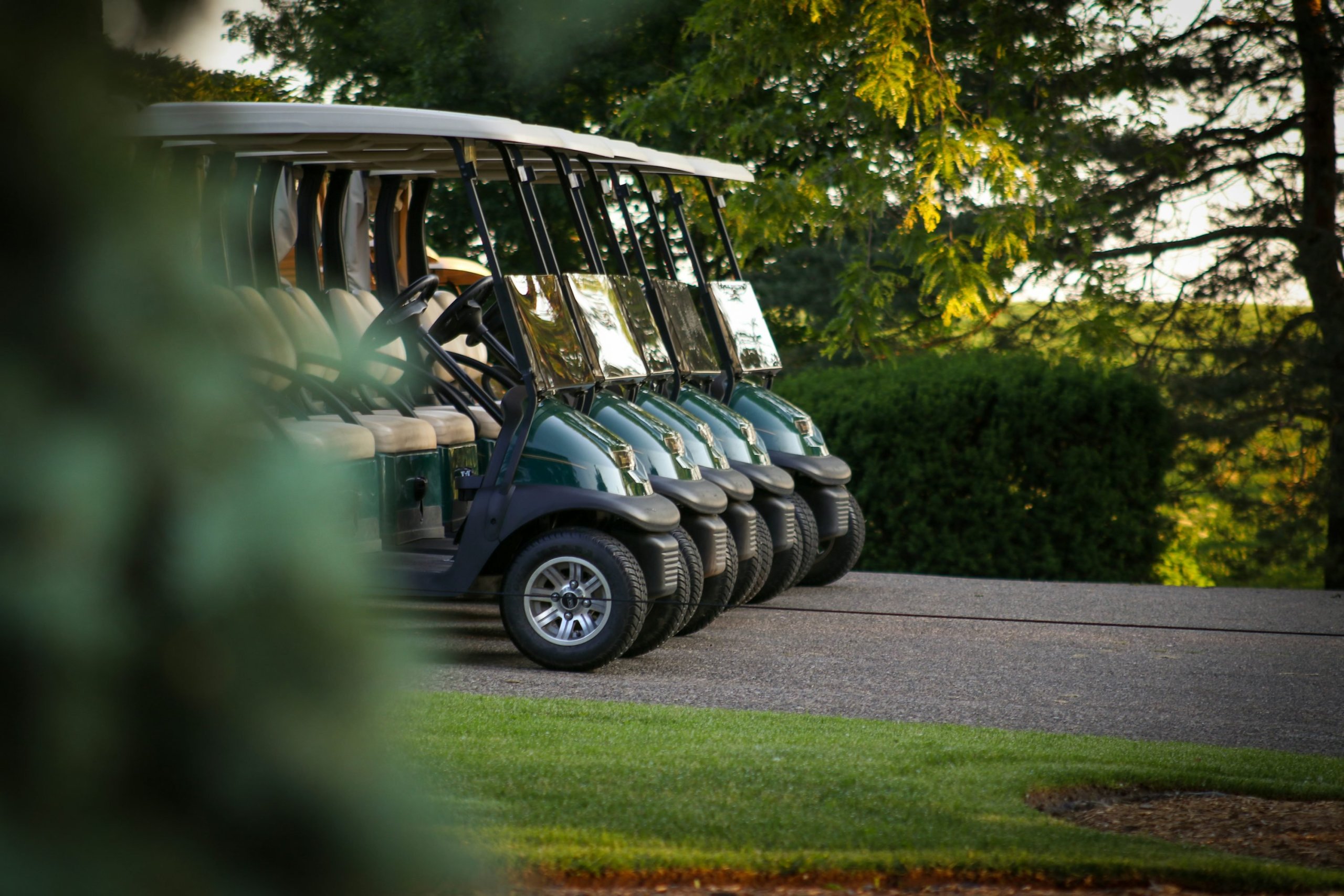 choose right 36V Golf Cart Battery
