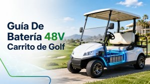 Batería 48V Carrito de Golf