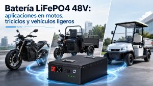 Batería LiFePO4 48V