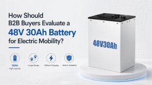 48V 30Ah battery evaluation guide for B2B buyers